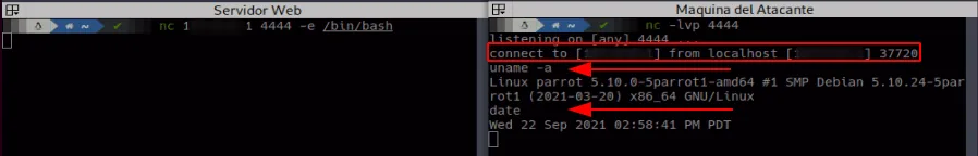 Demo reverse shell